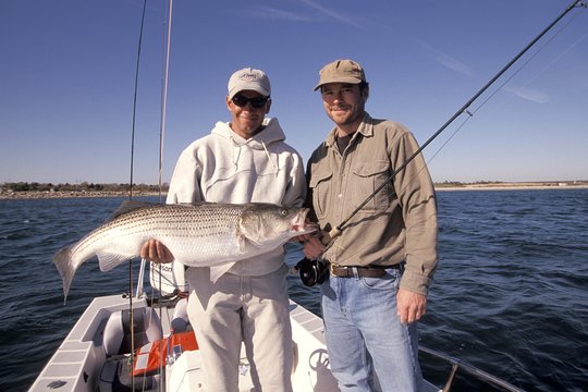 Tour image 5