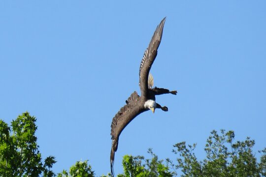 Tour image 4
