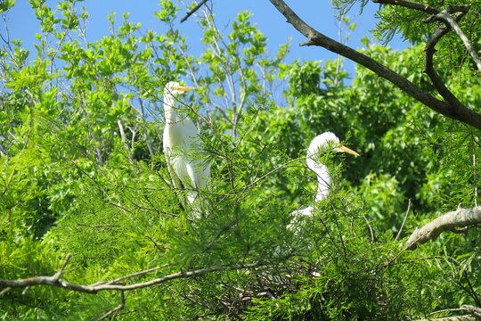 Tour image 8