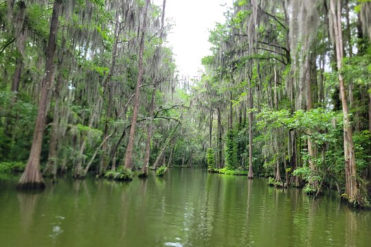 Tour image 2
