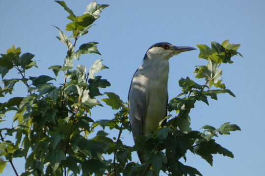 Tour image 5