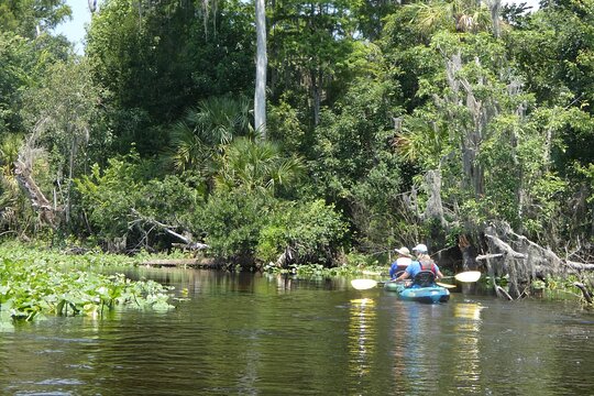 Tour image 7