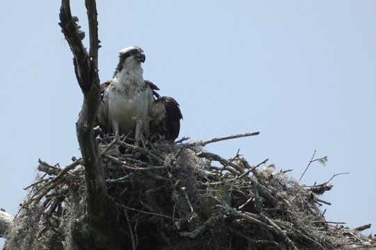 Tour image 8